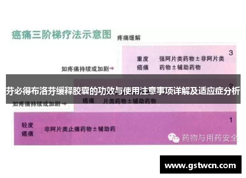 芬必得布洛芬缓释胶囊的功效与使用注意事项详解及适应症分析